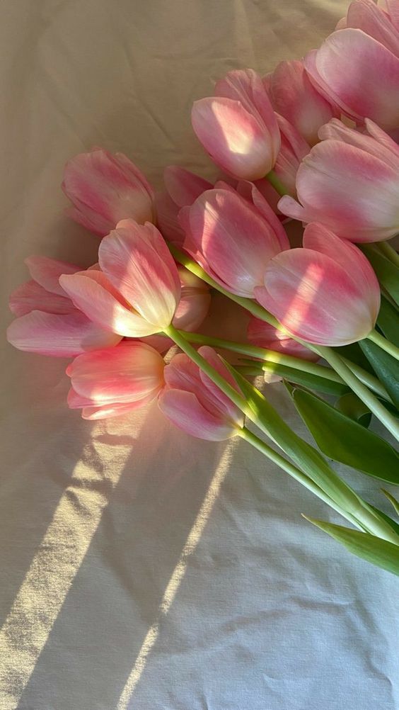 TOP 199+ Hình Nền Hoa Tulip Đẹp Lung Linh, Trang Nhã & Thanh Lịch Nhất Hiện Nay 120 TOP 199+ Hình Nền Hoa Tulip Đẹp Lung Linh, Trang Nhã & Thanh Lịch Nhất Hiện Nay 102