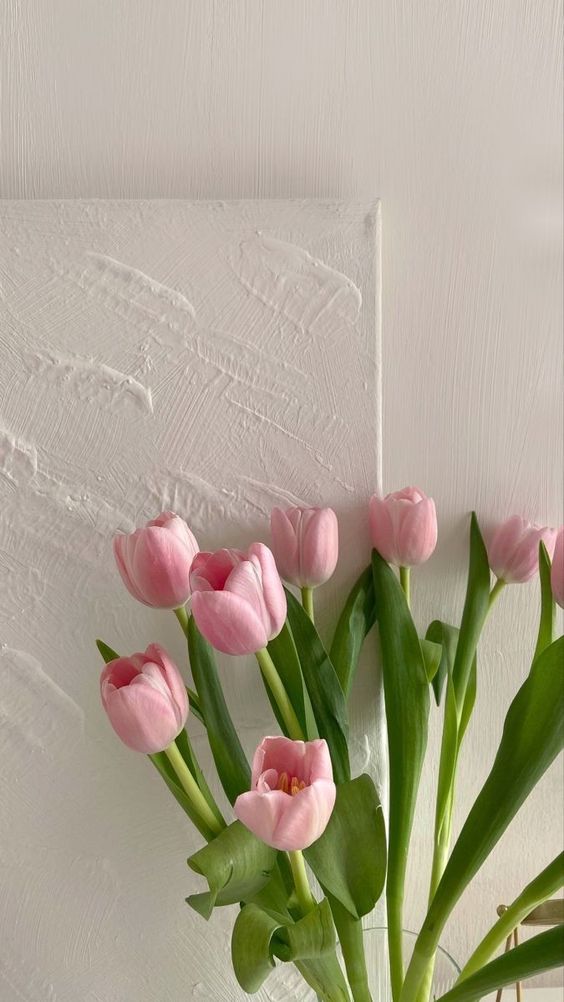 TOP 199+ Hình Nền Hoa Tulip Đẹp Lung Linh, Trang Nhã & Thanh Lịch Nhất Hiện Nay 123 TOP 199+ Hình Nền Hoa Tulip Đẹp Lung Linh, Trang Nhã & Thanh Lịch Nhất Hiện Nay 105