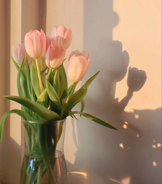 TOP 199+ Hình Nền Hoa Tulip Đẹp Lung Linh, Trang Nhã & Thanh Lịch Nhất Hiện Nay 138 TOP 199+ Hình Nền Hoa Tulip Đẹp Lung Linh, Trang Nhã & Thanh Lịch Nhất Hiện Nay 119