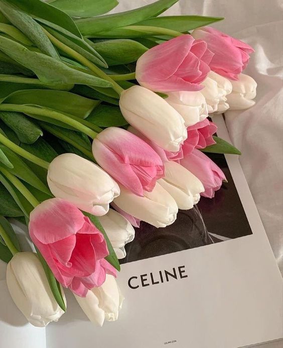 TOP 199+ Hình Nền Hoa Tulip Đẹp Lung Linh, Trang Nhã & Thanh Lịch Nhất Hiện Nay 139 TOP 199+ Hình Nền Hoa Tulip Đẹp Lung Linh, Trang Nhã & Thanh Lịch Nhất Hiện Nay 120