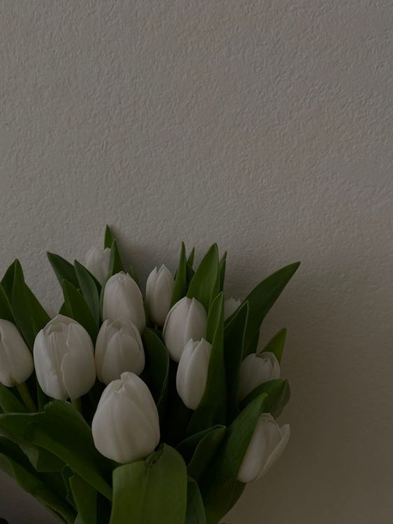 TOP 199+ Hình Nền Hoa Tulip Đẹp Lung Linh, Trang Nhã & Thanh Lịch Nhất Hiện Nay 144 TOP 199+ Hình Nền Hoa Tulip Đẹp Lung Linh, Trang Nhã & Thanh Lịch Nhất Hiện Nay 124