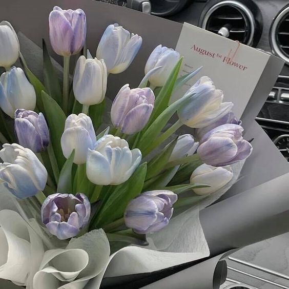 TOP 199+ Hình Nền Hoa Tulip Đẹp Lung Linh, Trang Nhã & Thanh Lịch Nhất Hiện Nay 84 TOP 199+ Hình Nền Hoa Tulip Đẹp Lung Linh, Trang Nhã & Thanh Lịch Nhất Hiện Nay 69
