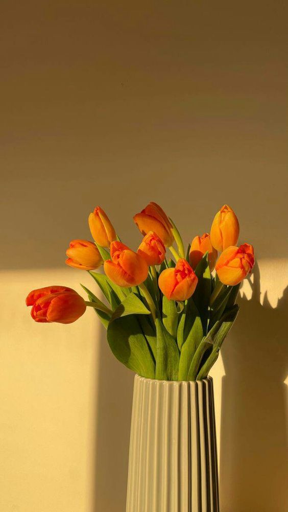 TOP 199+ Hình Nền Hoa Tulip Đẹp Lung Linh, Trang Nhã & Thanh Lịch Nhất Hiện Nay 151 TOP 199+ Hình Nền Hoa Tulip Đẹp Lung Linh, Trang Nhã & Thanh Lịch Nhất Hiện Nay 129