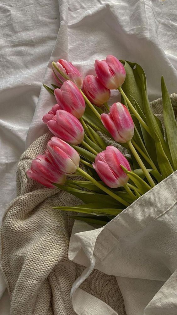 TOP 199+ Hình Nền Hoa Tulip Đẹp Lung Linh, Trang Nhã & Thanh Lịch Nhất Hiện Nay 86 TOP 199+ Hình Nền Hoa Tulip Đẹp Lung Linh, Trang Nhã & Thanh Lịch Nhất Hiện Nay 70