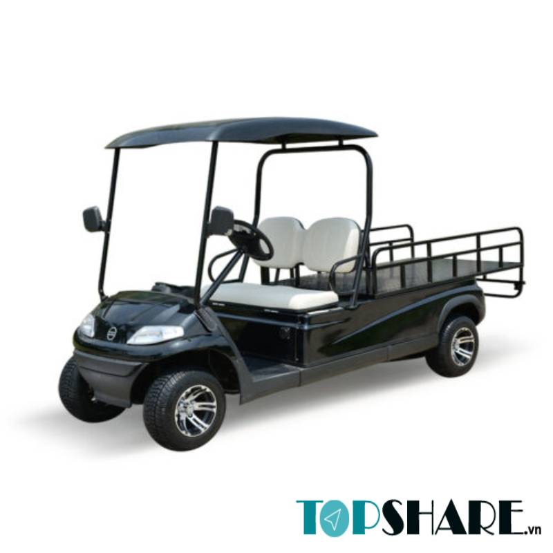 Top 10 Mẫu Xe Điện Chở Hàng 2 Chỗ giá rẻ, đang được ưa chuộng nhất 11 Xe điện chở hàng 2 chỗ LVTONG LT-A627.2.H8