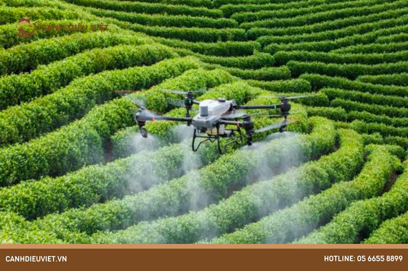 Review dòng máy bay sạ lúa rải phân DJI Agras T50 5 Review dòng máy bay sạ lúa rải phân DJI Agras T50 3