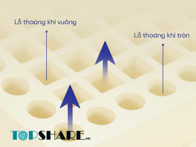 Nệm Cao Su Liên Á Classic Có Tốt Không? 9 Nệm cao su Liên Á Classic thoáng khí tốt