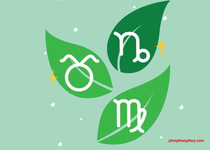 Cung Đất gồm cung nào? Khám phá Cung Đất từ A - Z 7 Cung Đất gồm cung nào? Khám phá Cung Đất từ A - Z 7