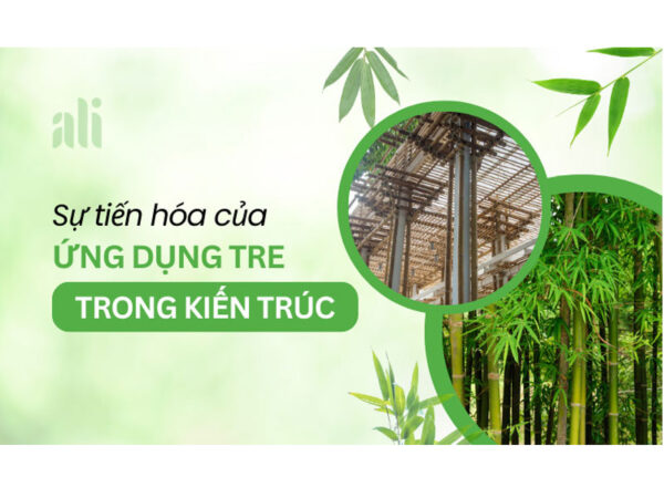 Sự tiến hóa của ứng dụng tre trong kiến trúc
