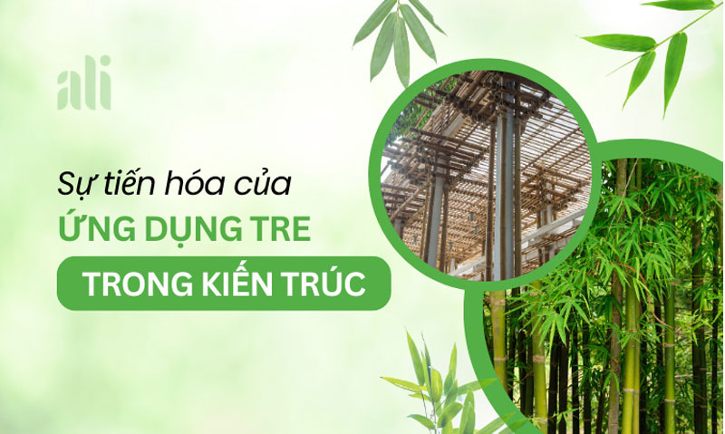 Sự tiến hóa của ứng dụng tre trong kiến trúc 13 Sự tiến hóa của ứng dụng tre trong kiến trúc